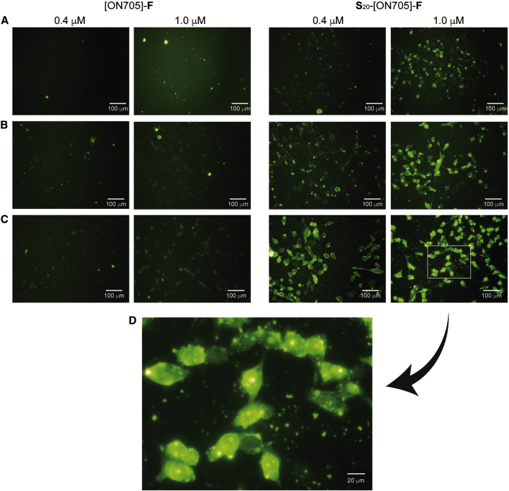 Figure 2