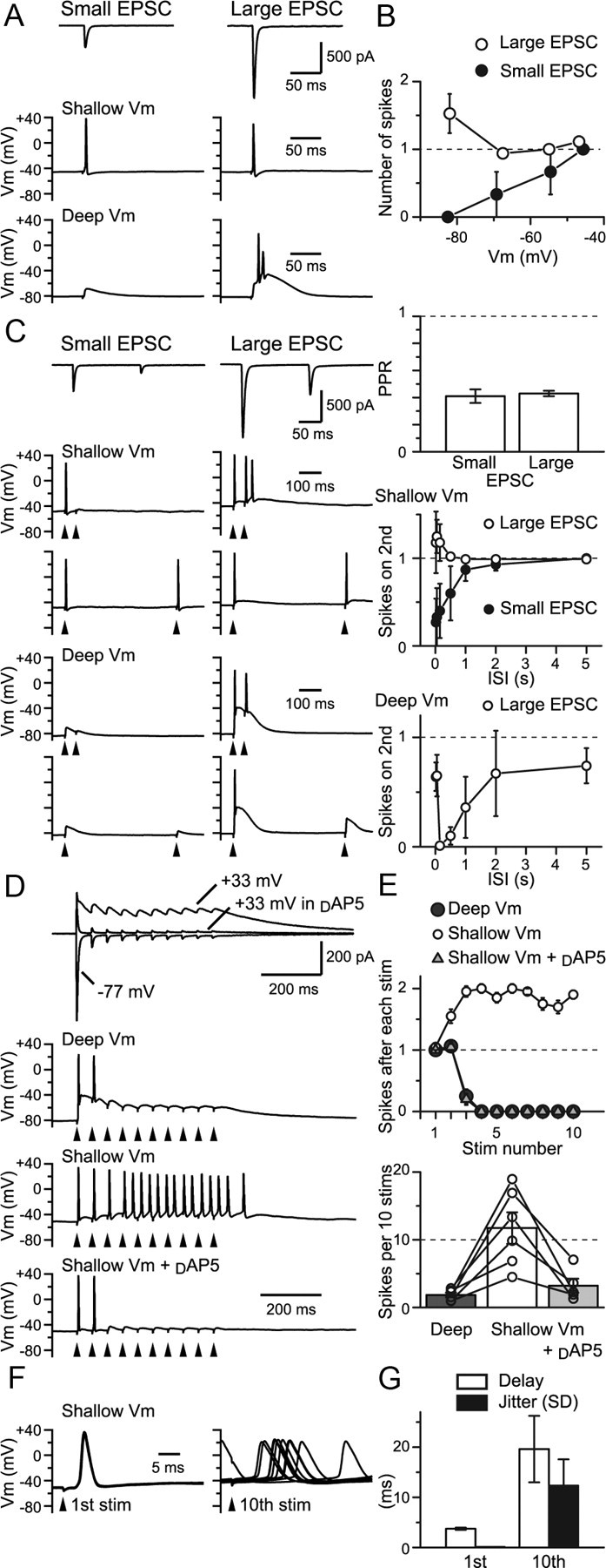 Figure 10.