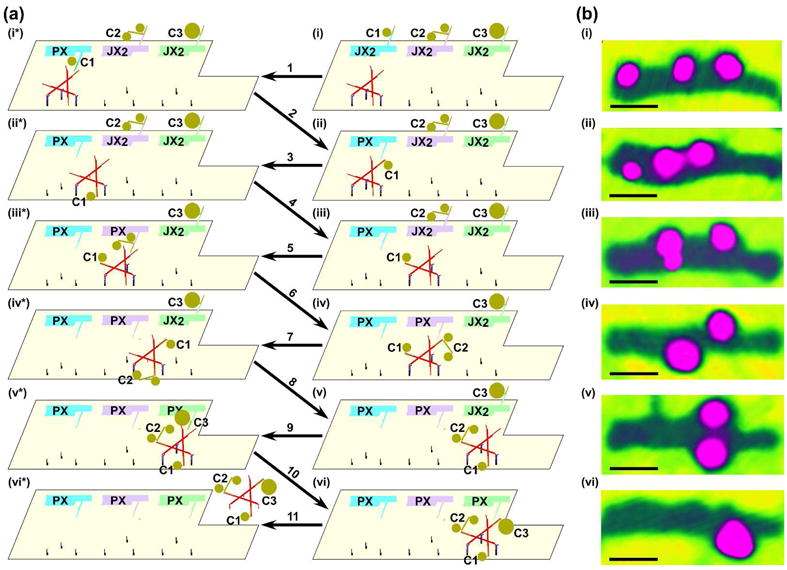 Figure 7