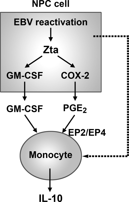 Fig. 9.