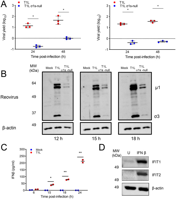 FIG 4