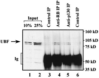 FIG. 10