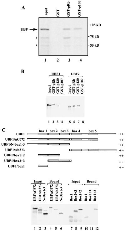 FIG. 9