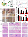 Fig. 13