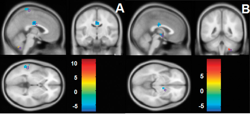 Fig. 5