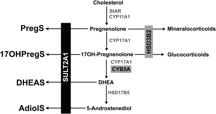 Figure 1.