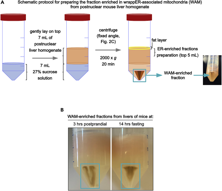 Figure 3