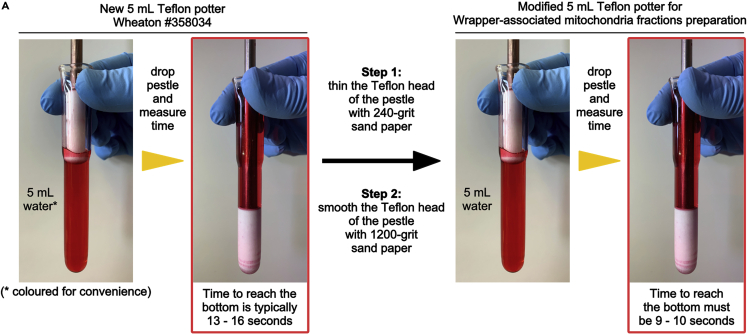 Figure 1