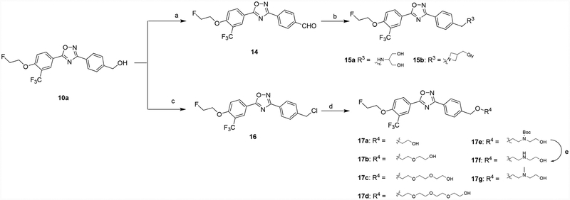 Scheme 3