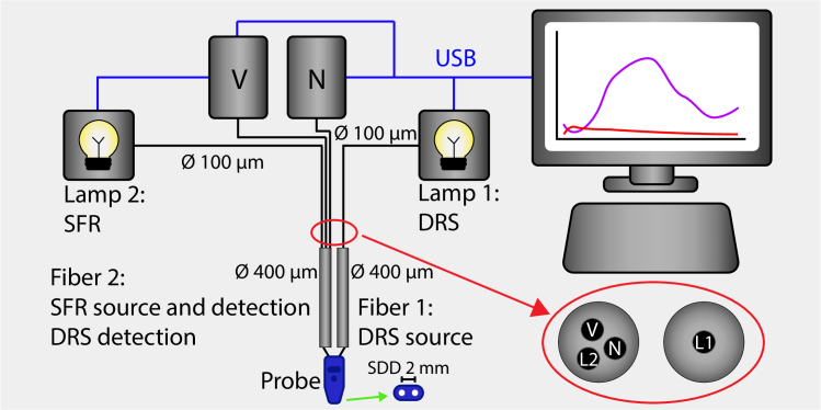 Fig. 1.