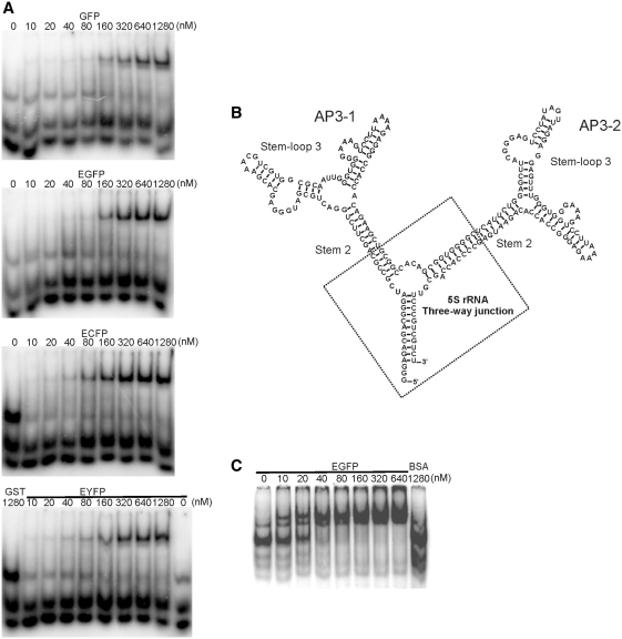 Figure 6.