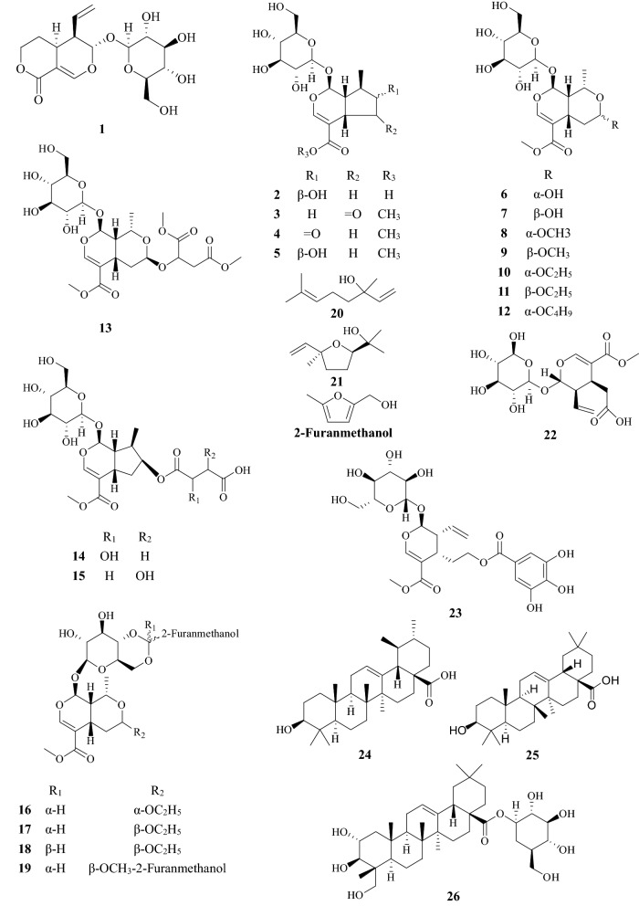 Fig. 2