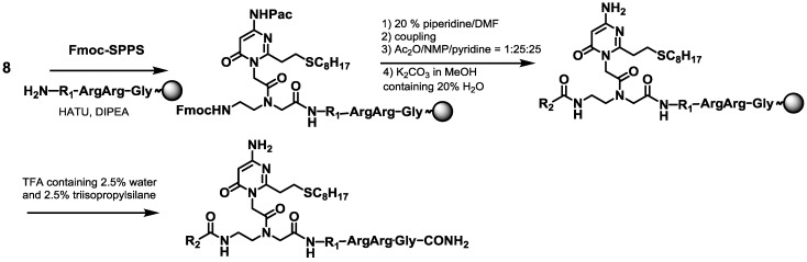 Scheme 2