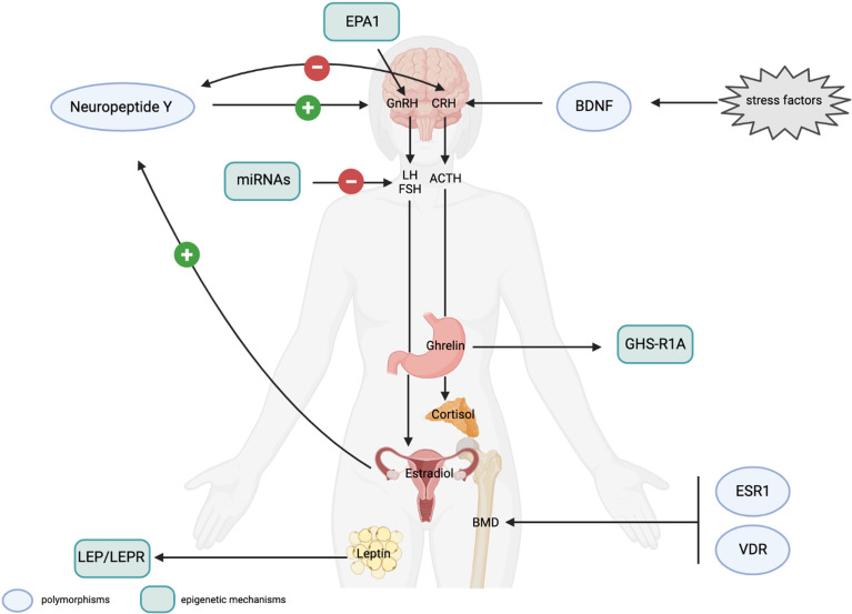 Figure 2