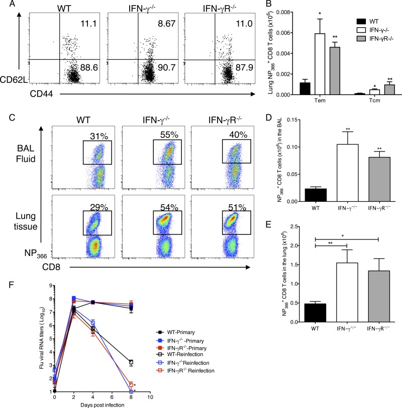 Fig 8