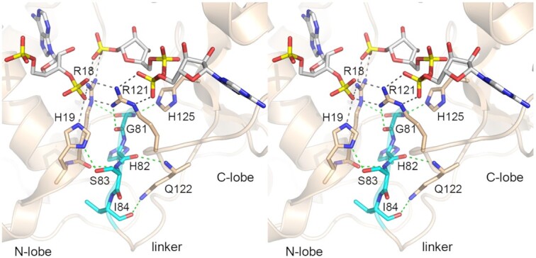 Figure 9.