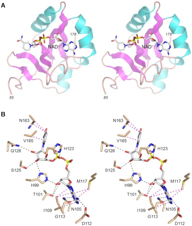 Figure 6.