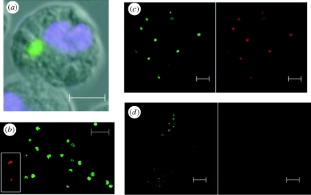 Figure 1.