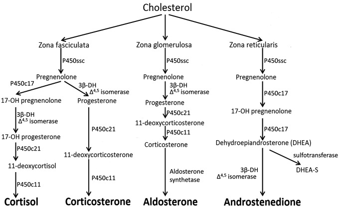 Figure 1.