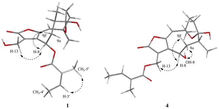 Fig. 3