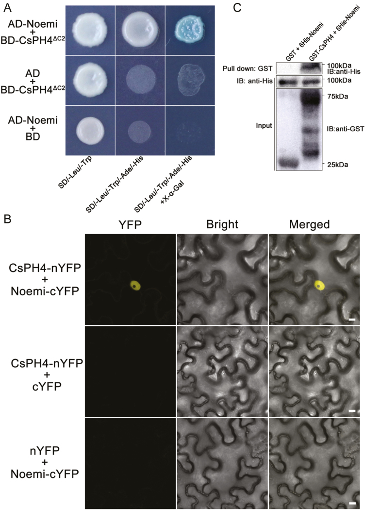 Fig. 6.