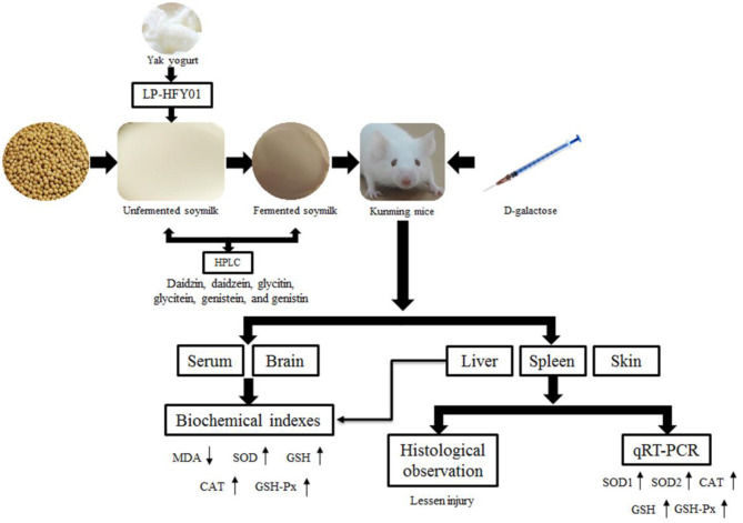 Figure 12