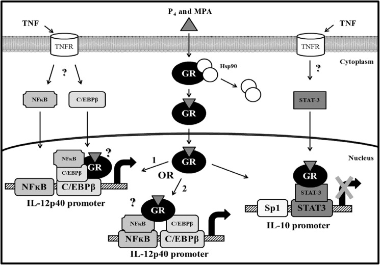 FIGURE 9.