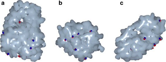 Fig. 3