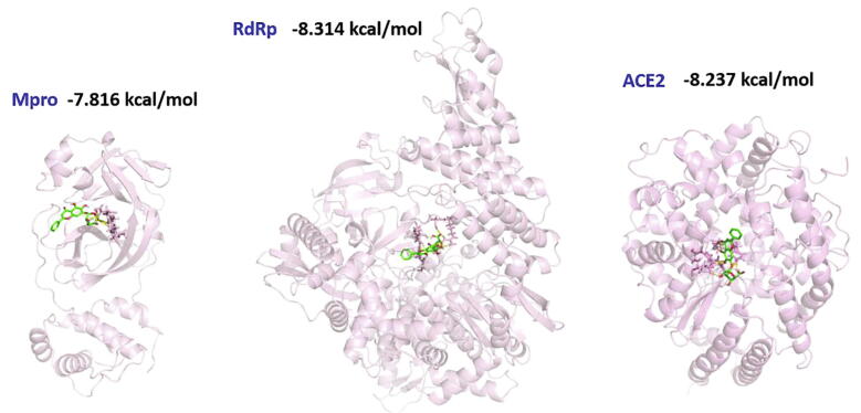 Fig. 2