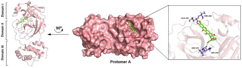 Fig. 1