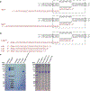Extended Data Fig. 1 ∣