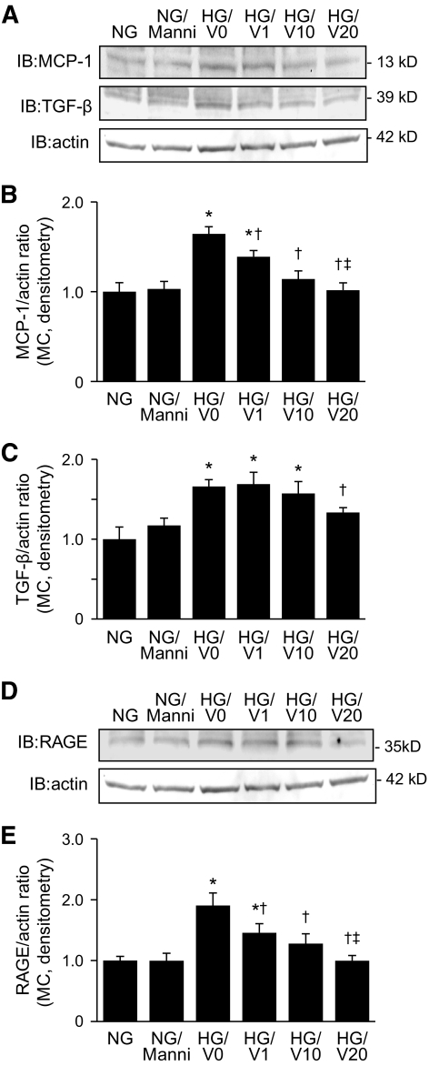 FIG. 6.