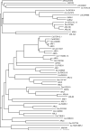 Fig. 9