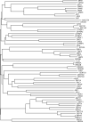 Fig. 14