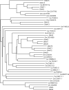 Fig. 11