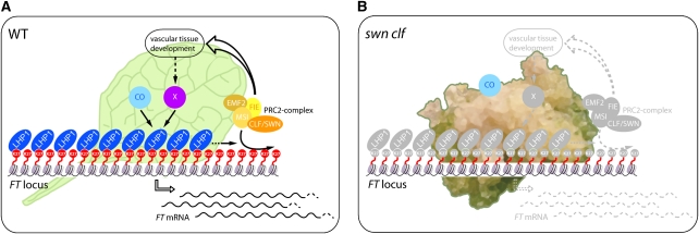 Figure 7.