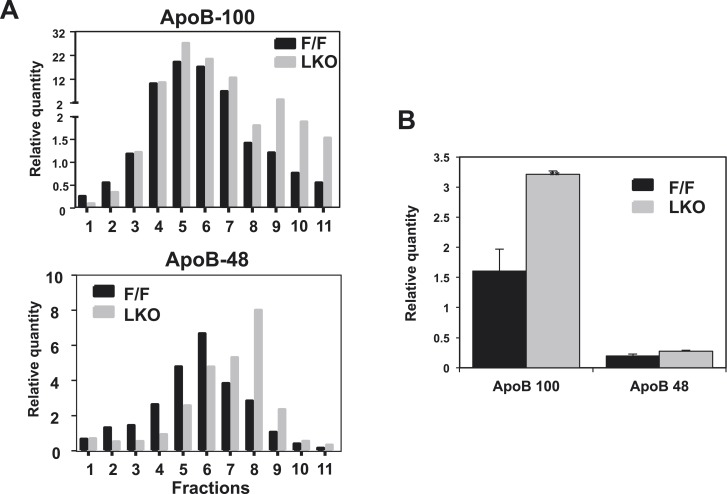 Figure 3—figure supplement 1.