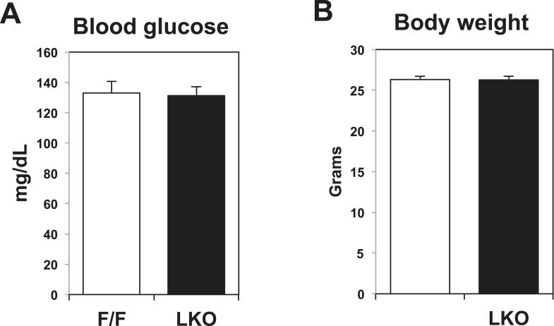 Figure 2—figure supplement 1.