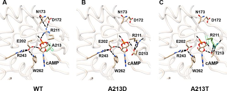 FIGURE 9.