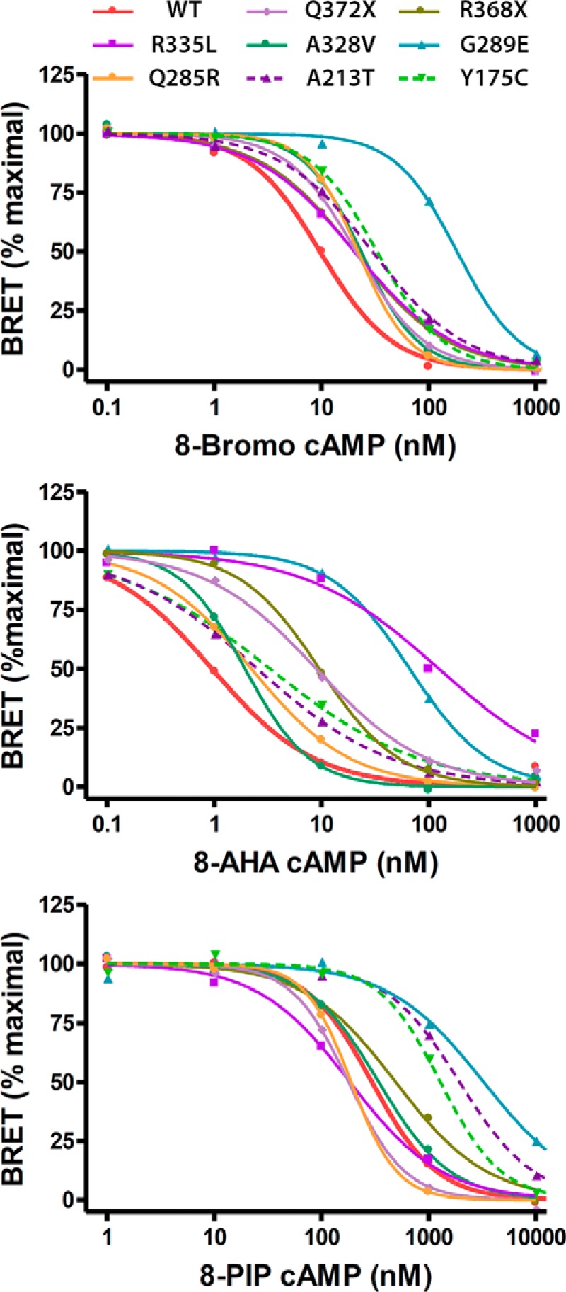 FIGURE 4.