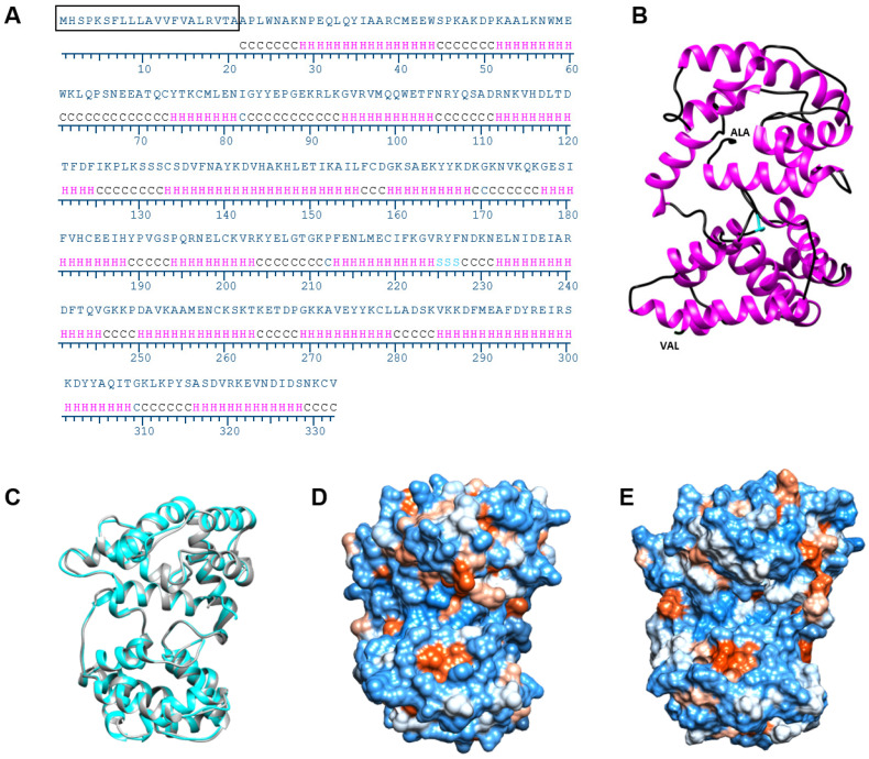 Figure 5