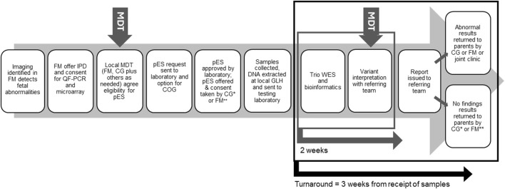 FIGURE 1