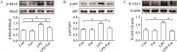 Fig.4