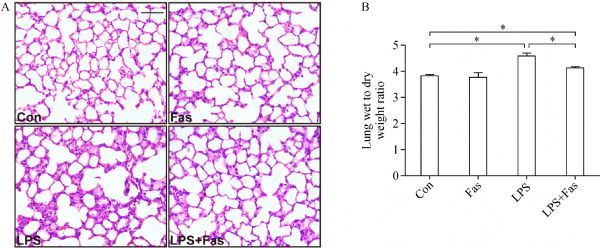 Fig.1