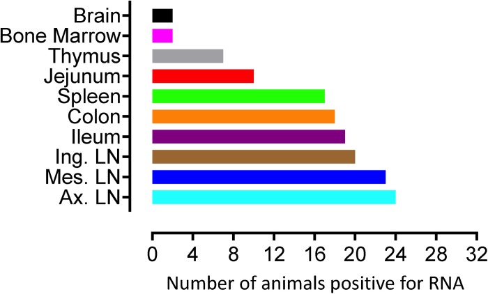 FIGURE 3