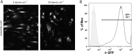 Figure 4—figure supplement 1.