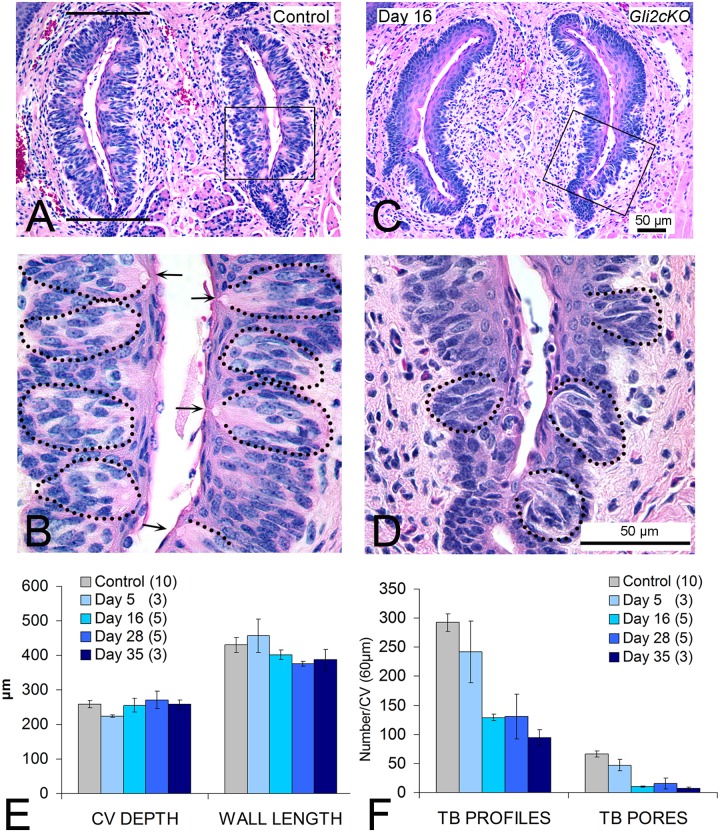 Fig 7