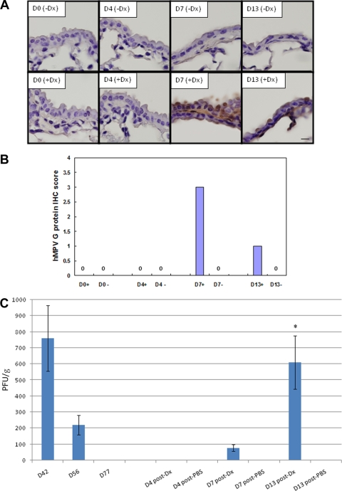 FIG. 4.