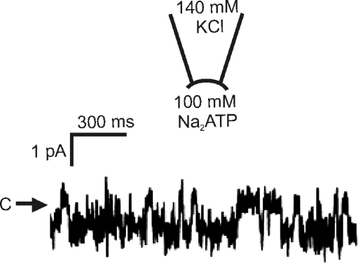 Fig. 4