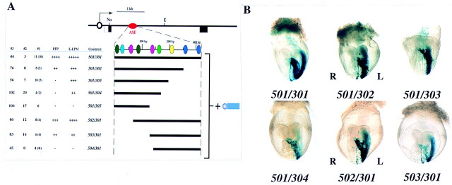 Figure 9